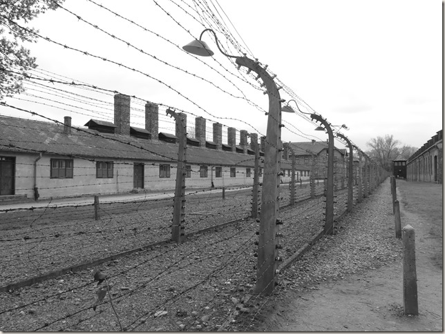 Auschwitz (113)