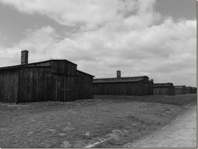 Auschwitz-Birkenau (5)